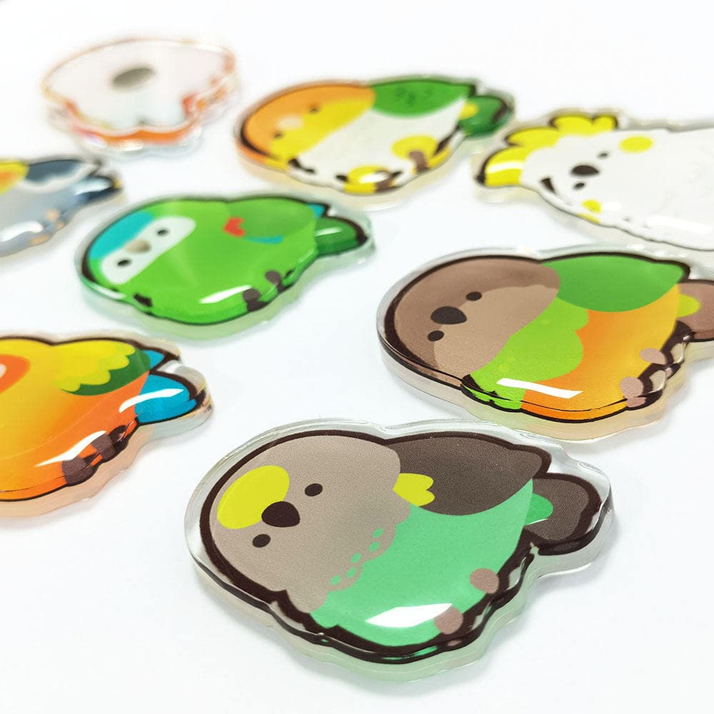 Collection of koala-shaped acrylic fridge magnets