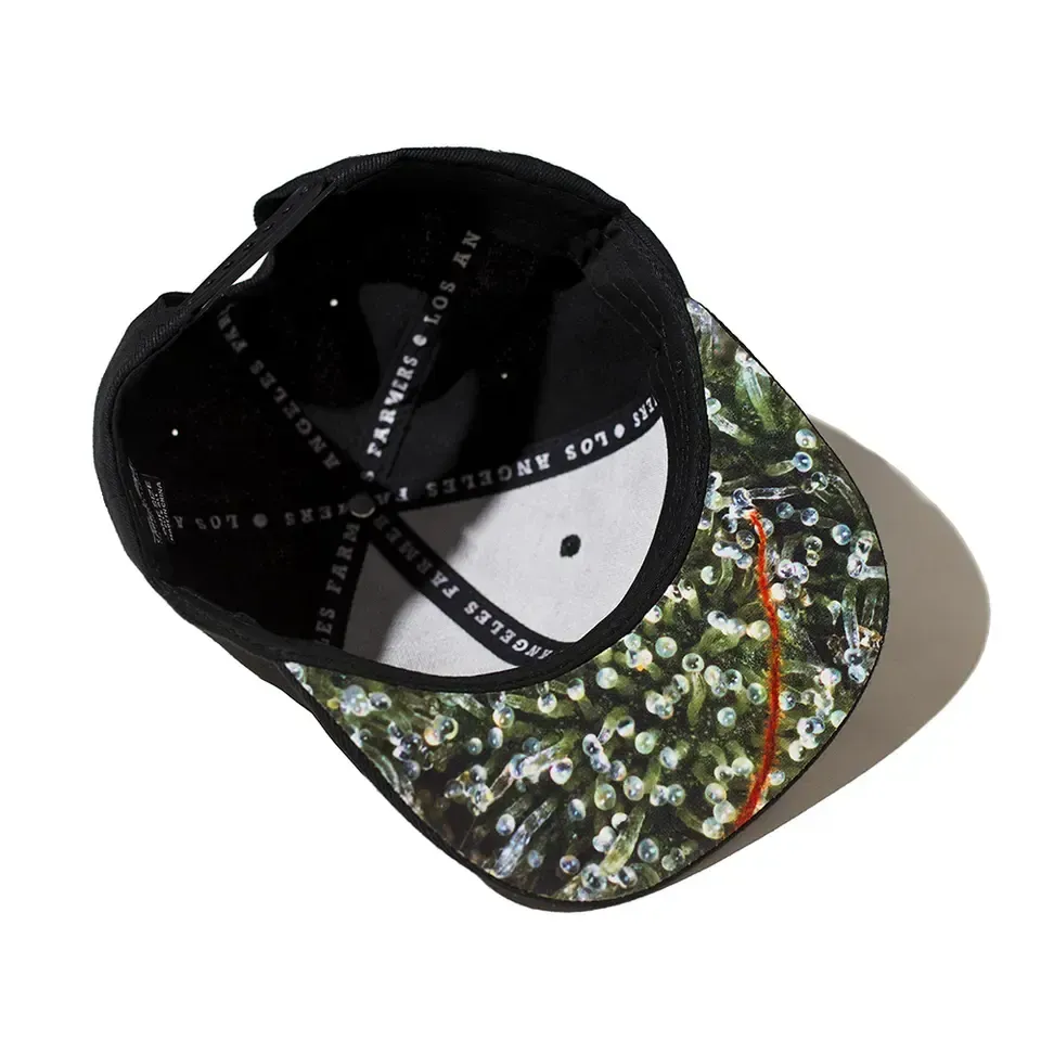 Printed snapback with logo